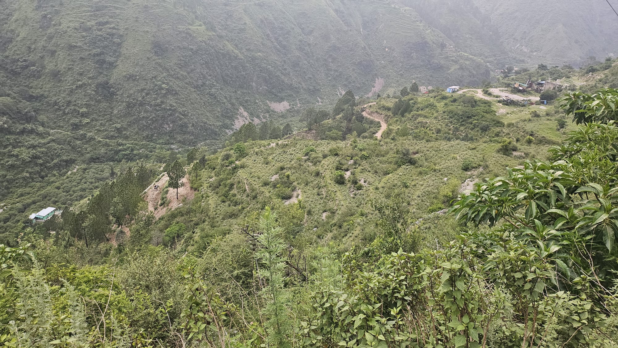 The hill road contouring past the land with the valley falling away below
